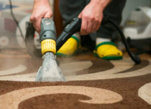 Rug Cleaning Ann Arbor Rug Cleaning