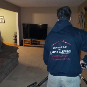 Carpet Cleaning Ann Arbor Dexter Saline Carpet cleaning in Ann Arbor